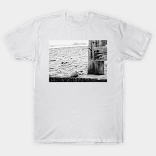 Cromer Pier T-Shirt